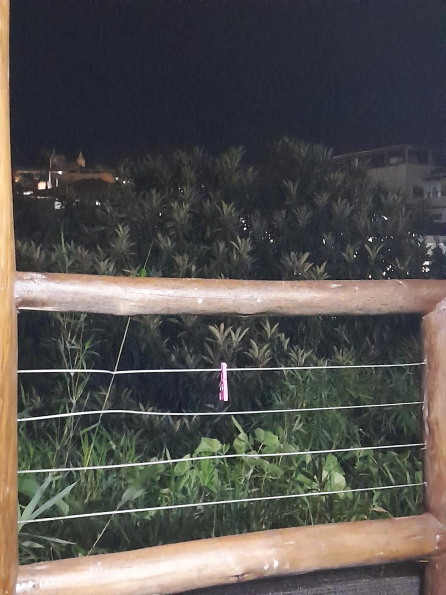 Apartamento Chale Bambu3 Cunha Exterior foto